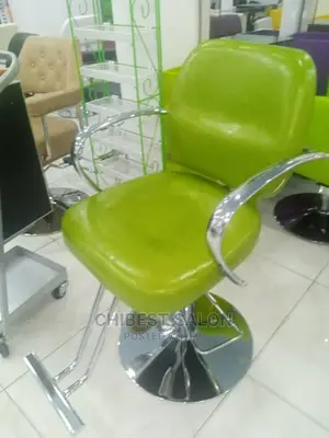 Salon Chair