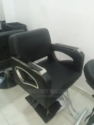 Salon Chair