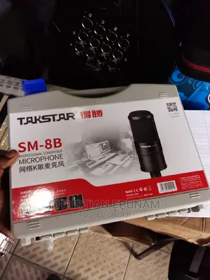Studio Mic (Takstar 8b)