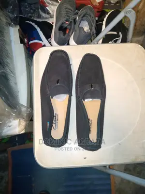 Clarks Shoe