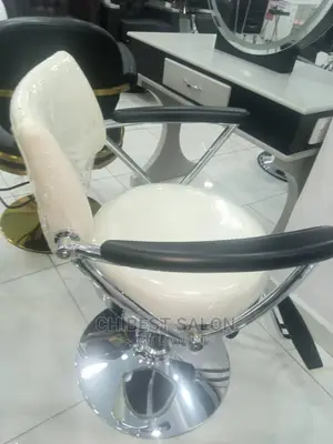 Salon Chair