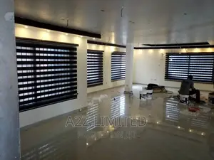 Zebra Window Blinds