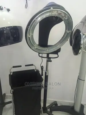 Hair Steamer