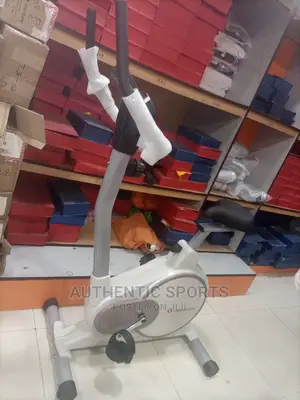 America Fitness Big Magnetic Bike