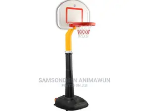Professional Basketball Set