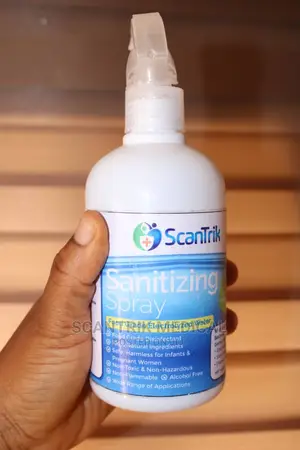 High Quality Sanitizing Spray