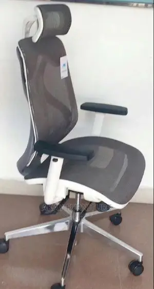 Ergonomic Mesh Swivel Chair