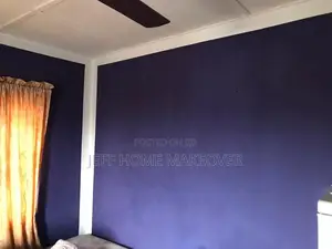 Painter in Ajah