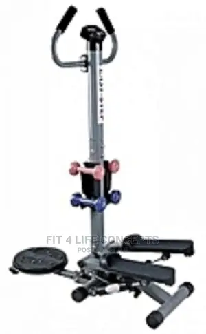 Standing Stepper With Twister and Duymbell