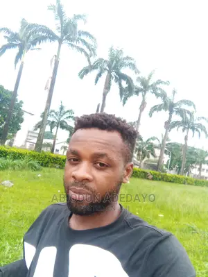 Adedayo CV
