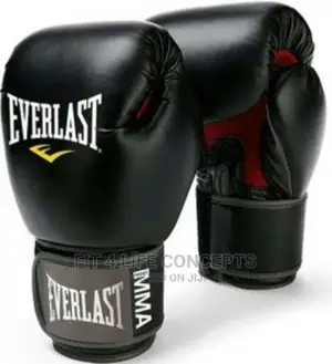Everlast Boxing Gloves