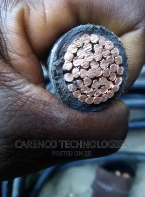 300mm 1core Pvc Cable