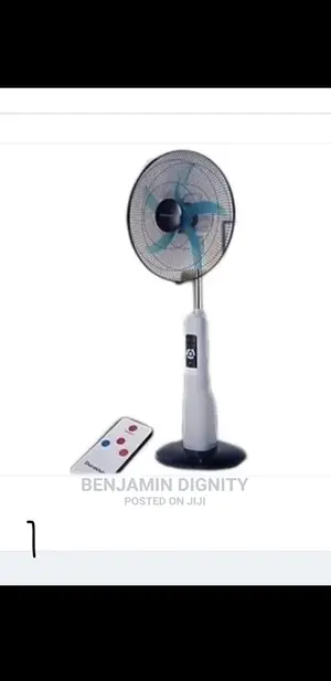 Rechargeable Standing Fan