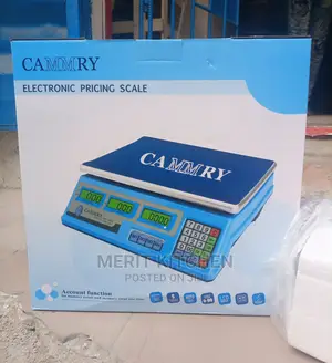 Camry Price Scale