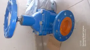 4" Gate Valve Brand