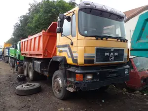 Man Diesel With Axillary Tipper