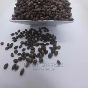 Miracle Wonder Seeds