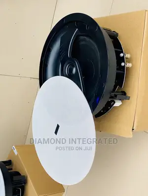 50 Watts Subwoofer Ceiling Speaker