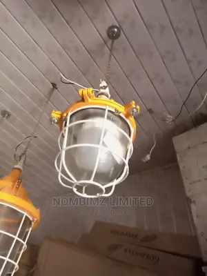 Another Size of Incandescent Explosion Proof Waterproof