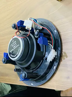 20 Watts Frameless Subwoofer Ceiling Speaker