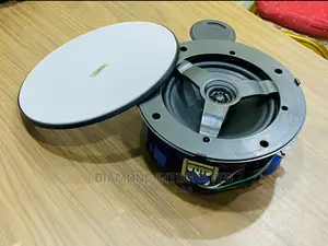 Frameless Subwoofer 20 Watts Ceiling Speaker