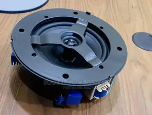 Frameless Subwoofer 20 Watts Ceiling Speaker
