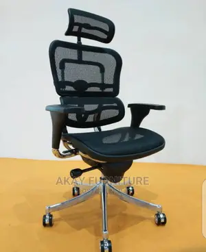 Ergonomic Swivel Mesh Chair