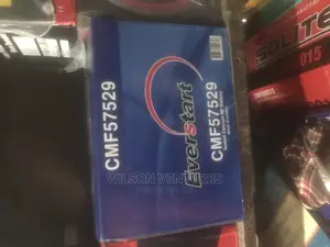 75ah Everstart Battery