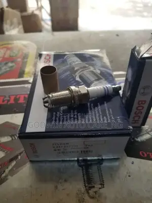 Genuine Spark Plugs.