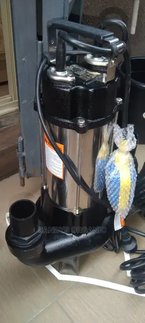 1 Hp Sewage Pump