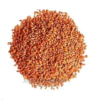 Cress Seed Treasure Of Nutrient,Help Weightloss For Immunity