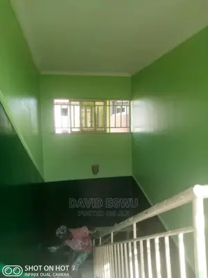 House Painting and Screeding