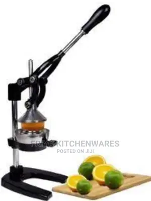 Professional Juicer