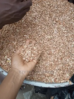Maiduguri Brown Beans 50kg