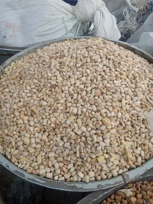 Picked Sweet Pure Butter Beans 50kg