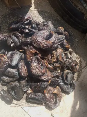 Maiduguri Dry Catfish Sweet,Fresh