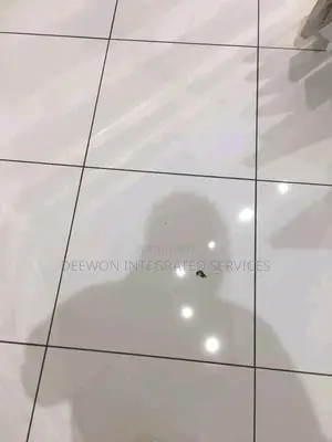 Professional Tiler