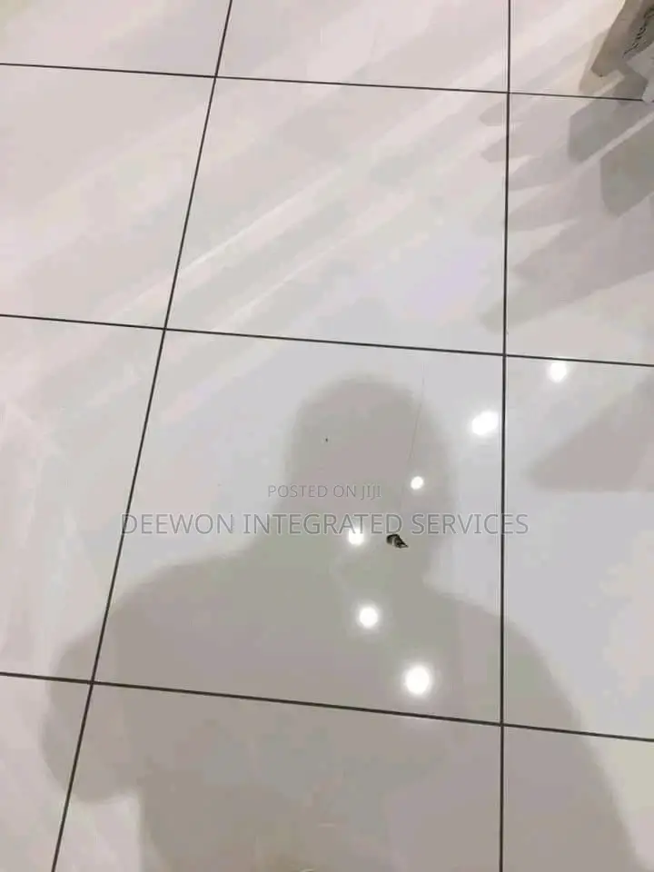 Professional Tiler