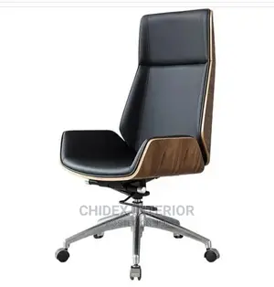 Exotic Office Executive Chiar