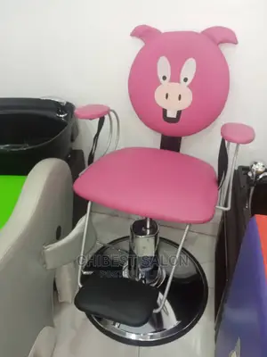 Pink Stylist Chair