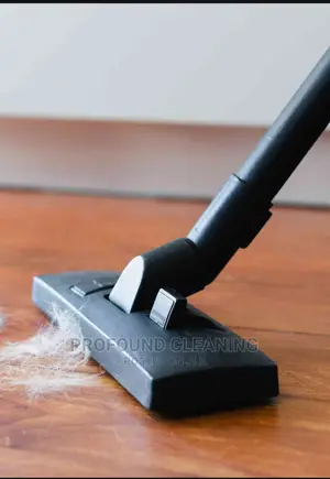 Profound Cleaning and Fumigation Services