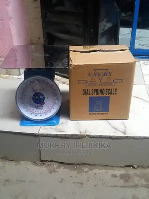 50 Kg / 110lb Camry Analog Scale