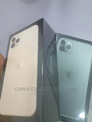 New Apple iPhone 11 Pro Max 256 GB Gray