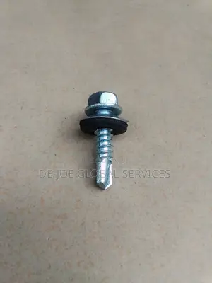 1"(25mm) Roofing Screw (Self Drilling Screw) and Other Sizes