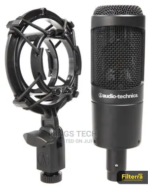 AUDIO-TECHNICA AT2035 Professional Studio Microphone