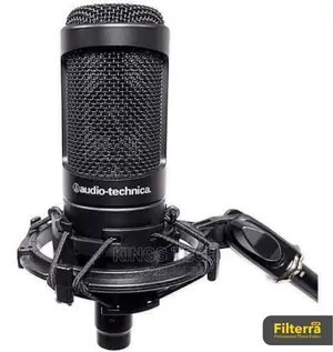 AUDIO-TECHNICA AT2050 Dual Large Condenser Microphone