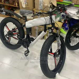 Brand New Fat Tire Electric Bicycle