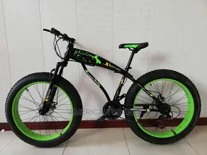Brand New Fat Tire Bicycle Standard