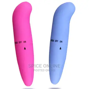 Dolphine Vibrator