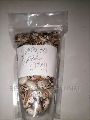 Castor Seeds(100g)
